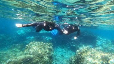 Snorkeling Tour in a Marine Protected Area