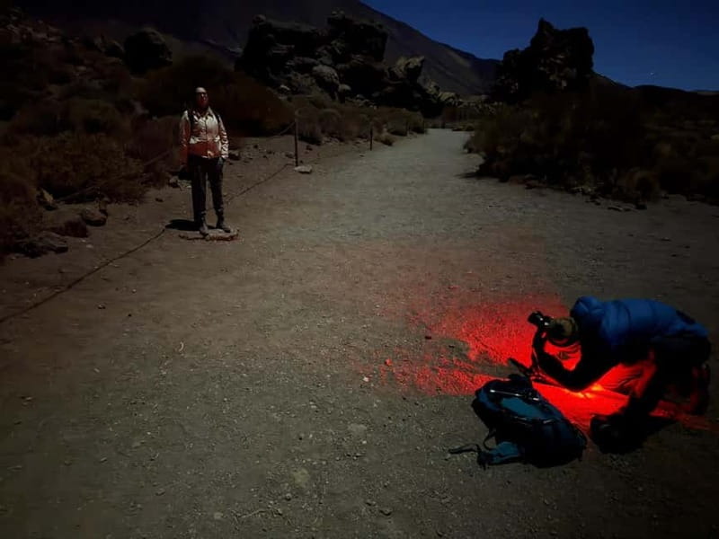Tenerife: Stargazing Walk in Teide National Park - Meeting at the Parador and starting the walk