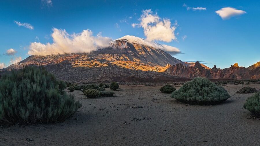 Tenerife: Teide National Park and Dolphins Sailboat Tour - From hotel pickup to Tenerife’s volcanic interior
