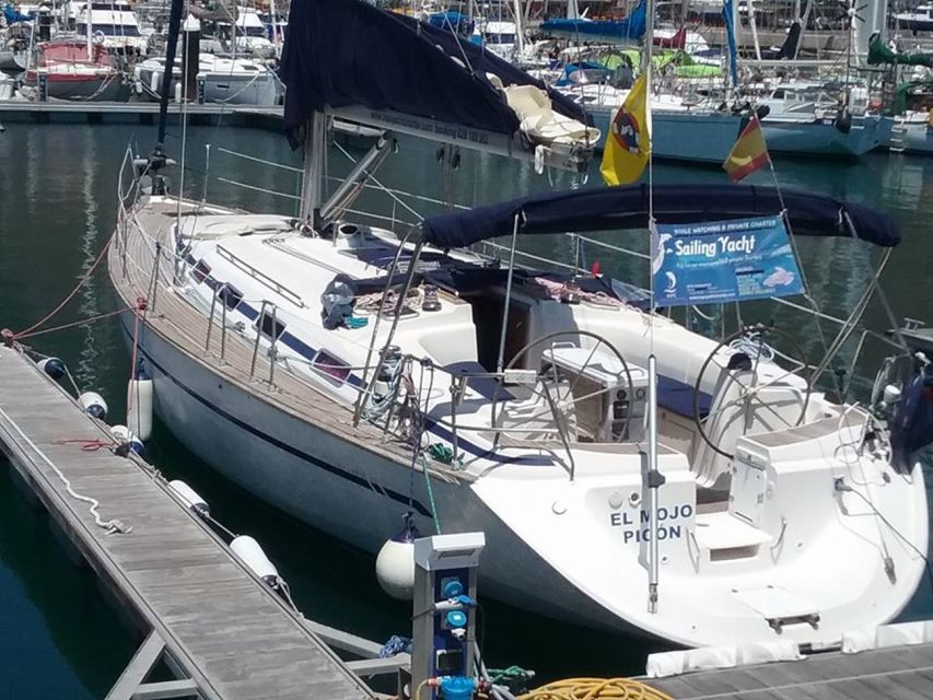 Tenerife: Teide National Park and Dolphins Sailboat Tour - The three-hour sailboat trip from southern Tenerife