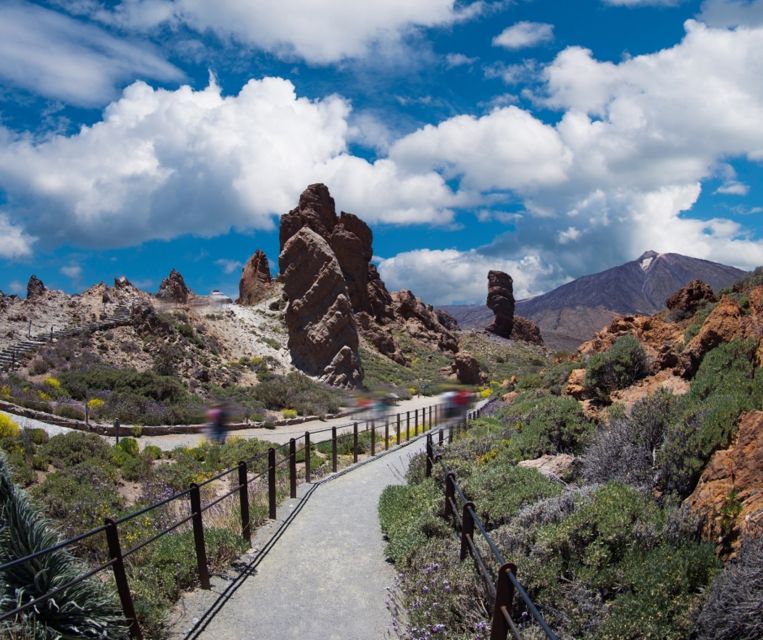 Tenerife: Teide National Park and Dolphins Sailboat Tour - Who should book this Tenerife combination?