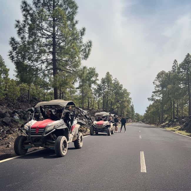 Tenerife: Teide National Park and Volcano Buggy Tour - From Guía de Isora to Teide’s volcanic high country