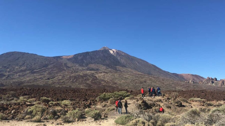 Tenerife: Teide National Park Buggy Tour with Hotel Transfer - What the off-road section is really like