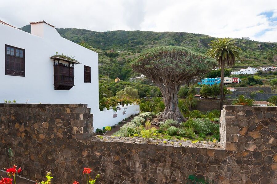 Tenerife: Teide National Park Full-Day Tour with Pickup - Key points to know before booking
