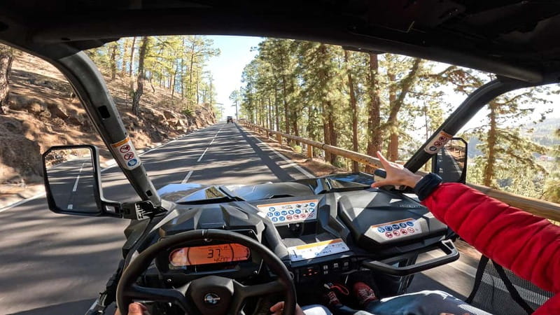 Tenerife: Teide National Park Guided Buggy Tour - Key points to know before booking