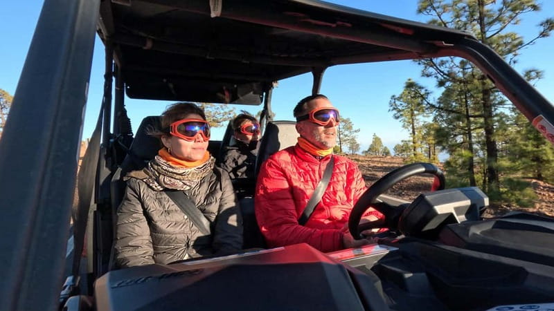 Tenerife: Teide National Park Guided Buggy Tour - Price, group size, and overall value