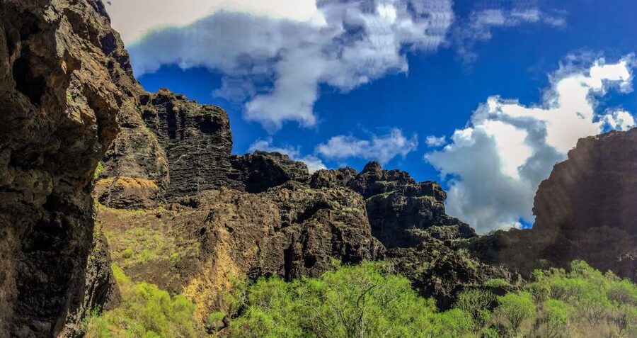 Tenerife: Teide National Park & Teno Rural Park Private Tour - Key points at a glance