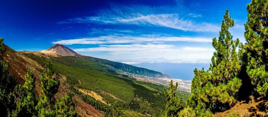 Tenerife: Teide National Park & Teno Rural Park Private Tour - What to bring and who will enjoy it