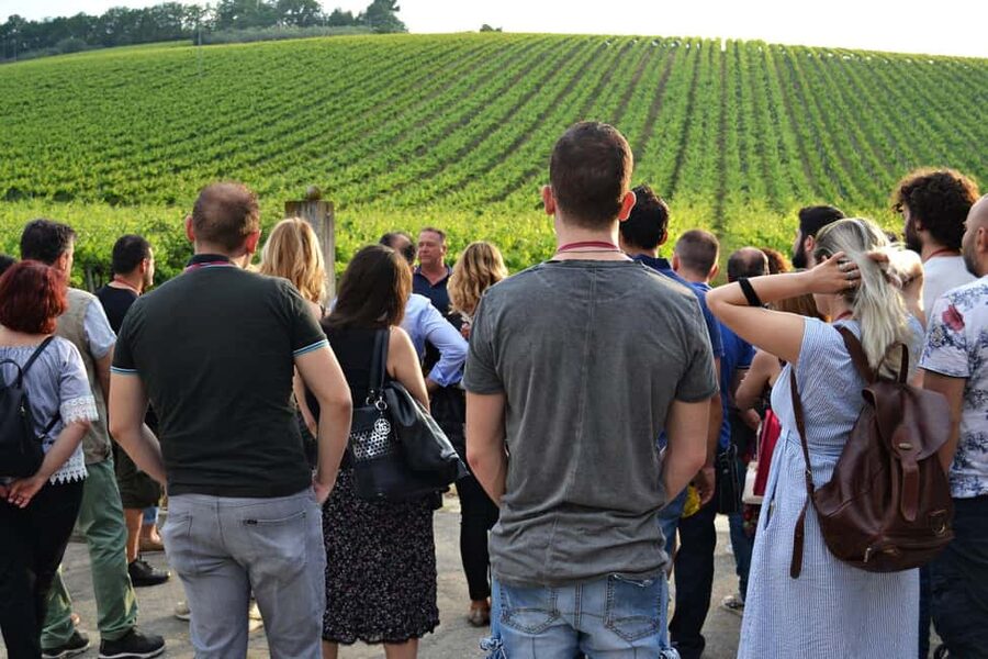 Tenuta Arabona - Tour and Tasting in the Majella National Park - Should you book Tenuta Arabona?