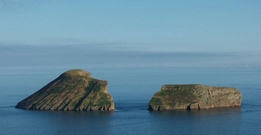 Terceira Island: Ilhéus Cabras Boat Tour | Protected Area - FAQ