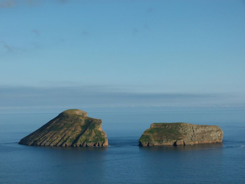 Terceira Island: Ilhéus Cabras Boat Tour | Protected Area - What the two-hour route offers