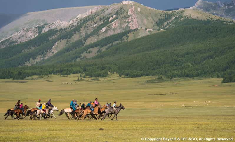 Terelj National Park: Tour with horse riding and hiking - Key points to know before you book