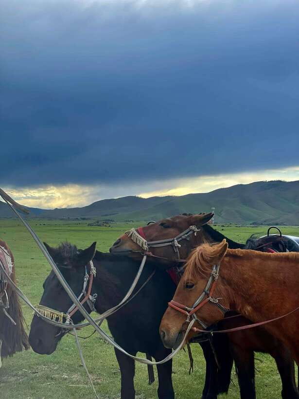 Terelj national park transport /Best price tour - Why this $36 tour is such good value