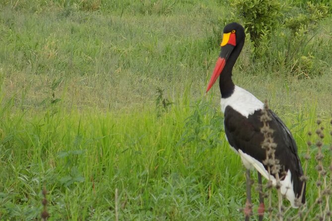 The Amaizing Private Day Trip to the lovely Arusha National Park - What the $450 price covers