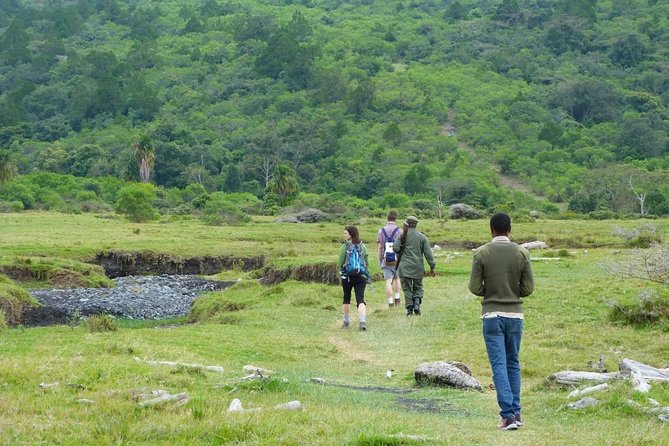 The Amaizing Private Day Trip to the lovely Arusha National Park - Entering the park by private 4x4