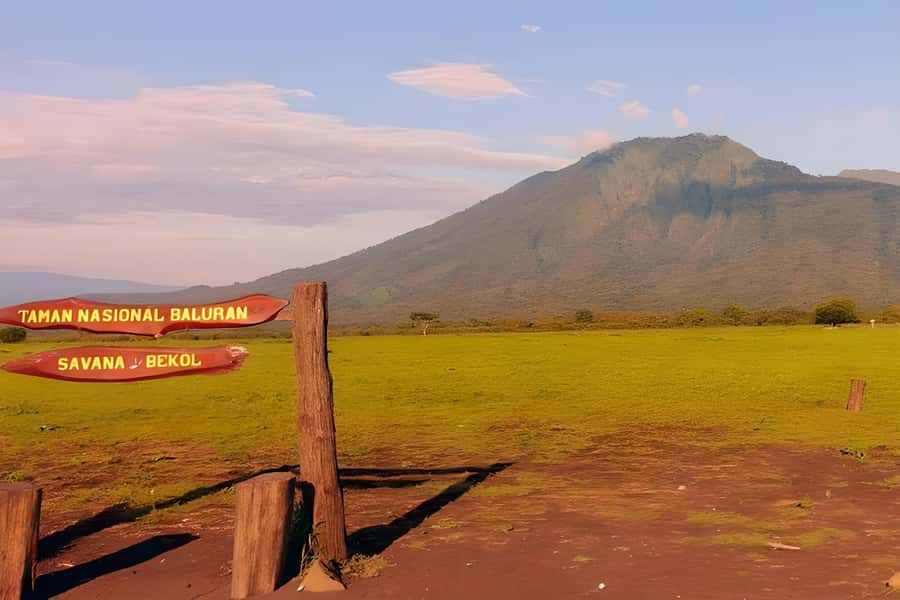 The Authentic Sunset Of Baluran National Park Banyuwangi - Key points at a glance
