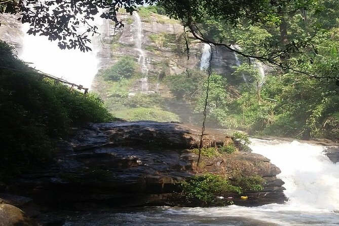 The Best One Day Trip Of Doi Inthanon National Park - Who should book this Doi Inthanon tour?