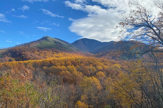 The "Classic" National Park Tour - Why this short Smokies tour works