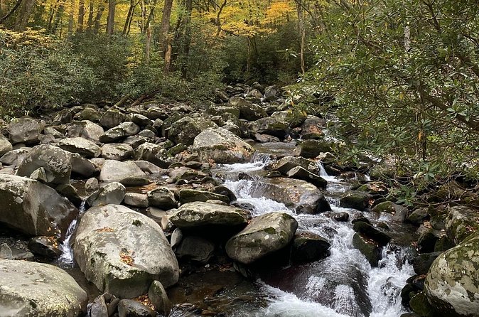 The "Classic" National Park Tour - What you get for $85
