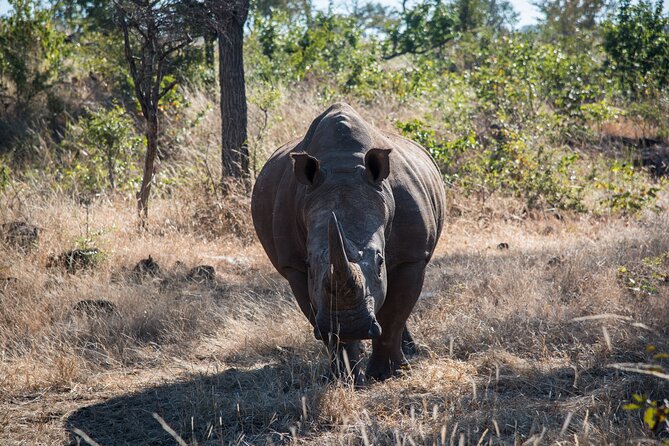 The Mosi oa Tunya National Park Game Drive - A compact safari beside Victoria Falls