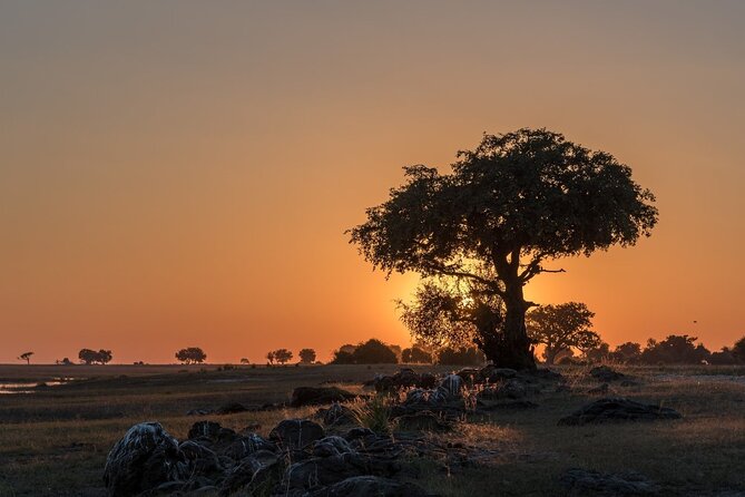 The Mosi oa Tunya National Park Game Drive - The picnic break inside the park