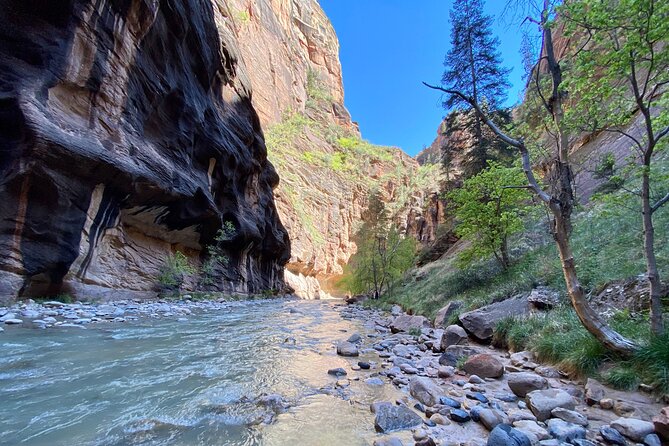 The Narrows: Zion National Park Private Guided Hike - Entering the Narrows from the Temple of Sinawava