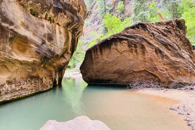 The Narrows: Zion National Park Private Guided Hike - Why the private format matters at $364