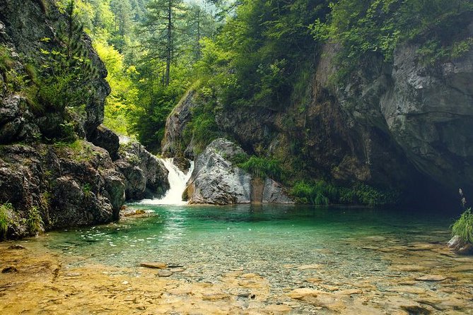 Thessaloniki: Bus Trip to Dion & Mt Olympus National Park - Transport, group size, and weather details