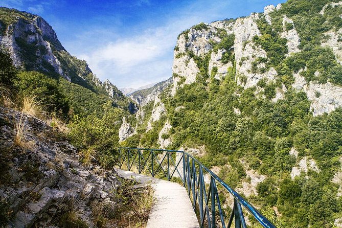 Thessaloniki: Bus Trip to Dion & Mt Olympus National Park - Who should book this day out?
