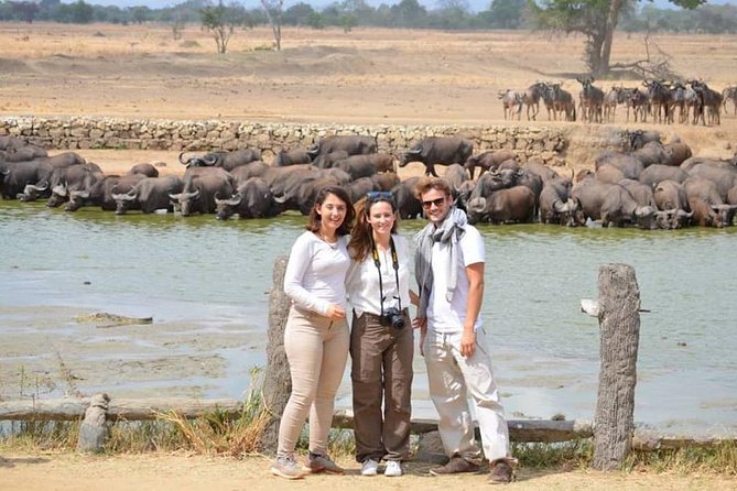 Three days Mikumi National Park, game drive and walking safari inside the park - Day two: a full day around the Mkata Floodplain