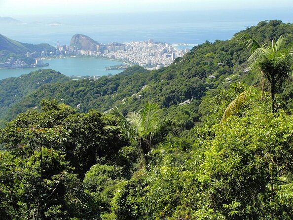 Tijuca National Park and all its wonders! - Why Tijuca National Park Makes Such a Good Rio Hike