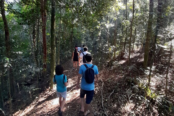 Tijuca National Park and all its wonders! - Taunay Waterfall and Cascata da Baronesa