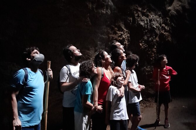 Tijuca National Park and all its wonders! - Gruta dos Murcegos and the Forest Route