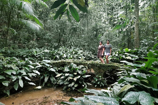Tijuca National Park and all its wonders! - How the Private Format Changes the Day