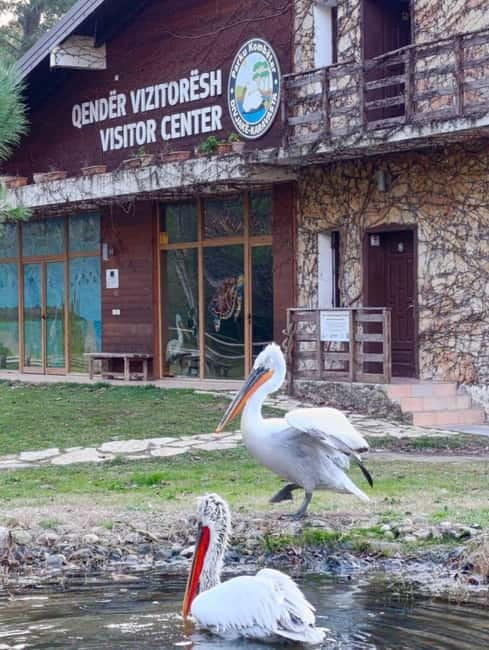 Tirana / Durrës: Berat UNESCO City & Karavasta National Park - Should you book the Karavasta and Berat day trip?