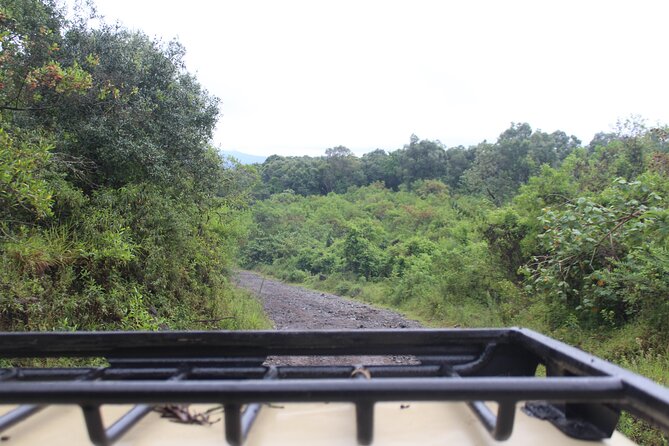 Tour at Arusha National Park - Ngurdoto Crater and the Afternoon Drive