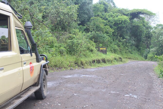 Tour at Arusha National Park - Is $599 a Fair Price?