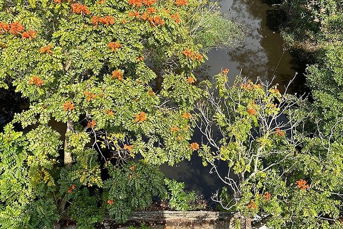 Tour for Nature lover- Lung Ngoc Hoang Nature Reserve in Can Tho - Entering the 2,800-hectare nature reserve