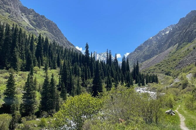 Tour to the Ala Archa National Park - Is $56 good value?