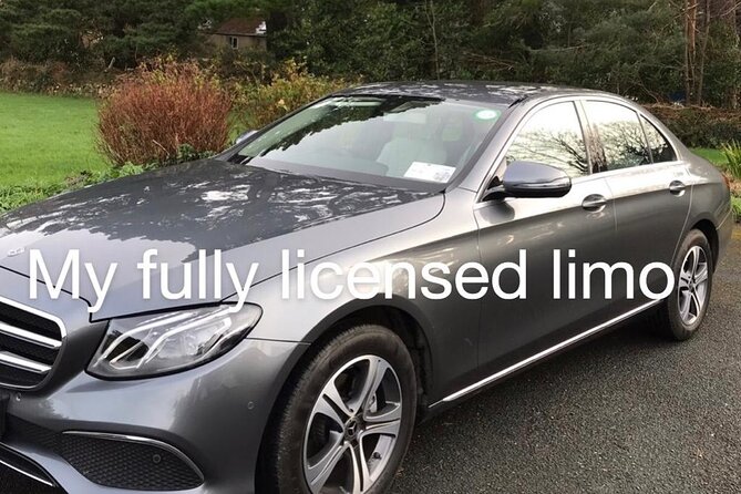 Tour Wicklow Mountains National Park in a limo with private guide - What kind of visitor should book it?