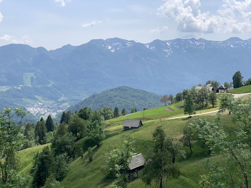 Triglav National Park Tour from Bled - Zelenci and Jasna show two sides of mountain water