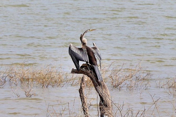 Udawalawa National Park half day Safari - The private format and the value of personal attention