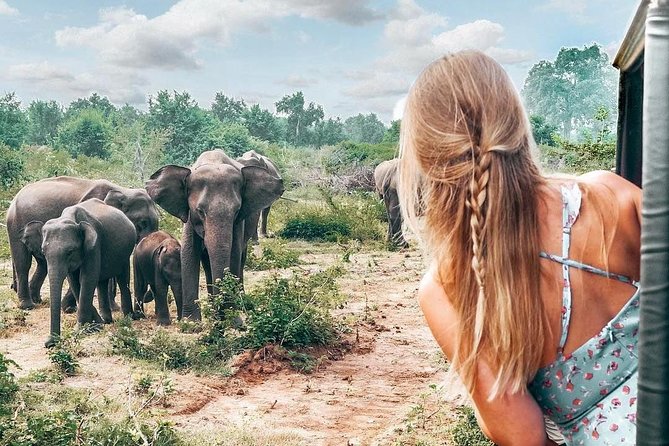 Udawalawe National Park Private Safari - Comfort, fitness, and what to bring