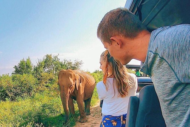 Udawalawe National Park Private Safari - Four hours among elephants and open country