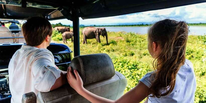 Udawalawe: National Park Safari & Elephant Transit Home Tour - Wildlife you may see inside the park