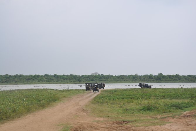 Udawalawe National Park Safari from Bentota - Is $137 a fair price?