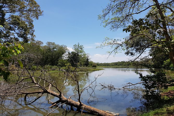 Udawalawe National Park Safari trip from Galle/Mirissa/Ella - Who will enjoy this day most