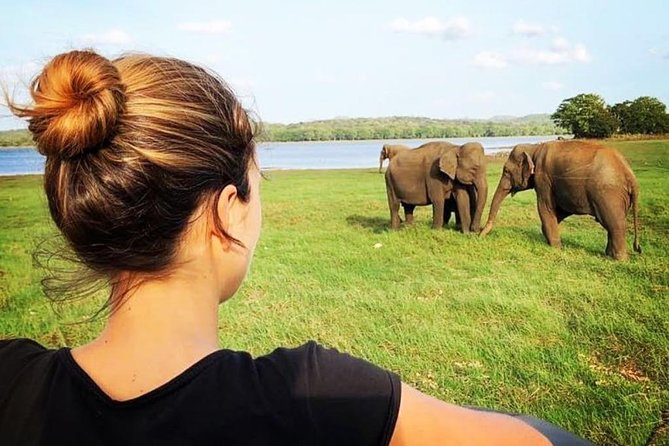 Udawalawe National Park Safari With Transfers From Colombo - The Elephant Transit Home in 30 minutes