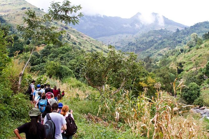 UDZUNGWA NATIONAL PARK AND WATERFALLS - 3 Days - Who should book this three-day Tanzania trip