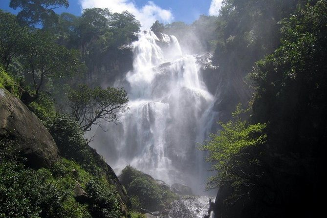 UDZUNGWA NATIONAL PARK AND WATERFALLS - 3 Days - Day two: seven hours among Udzungwa’s waterfalls